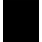 Фон тканевый Raylab 2,7x2,9 (Черный)